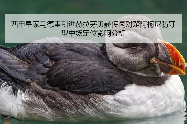 西甲皇家马德里引进赫拉芬贝赫传闻对楚阿梅尼防守型中场定位影响分析